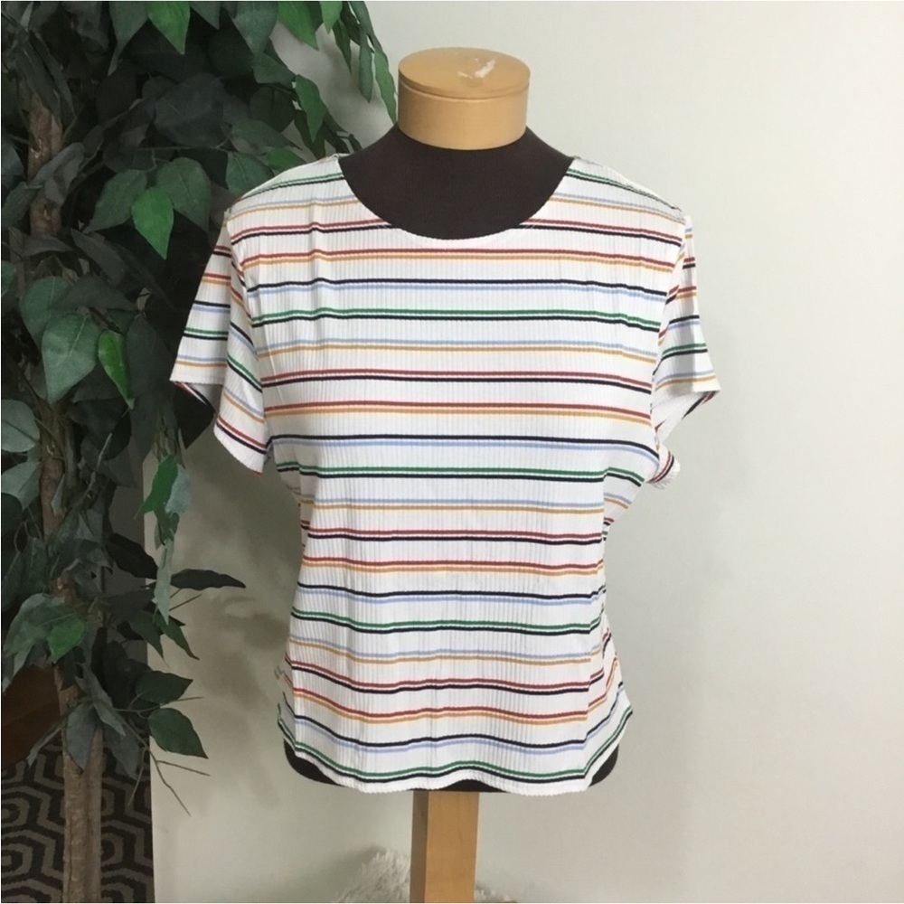 POPSUGAR strioed Ribbed Crewneck Short Sleeve Crop Top XXL NWT